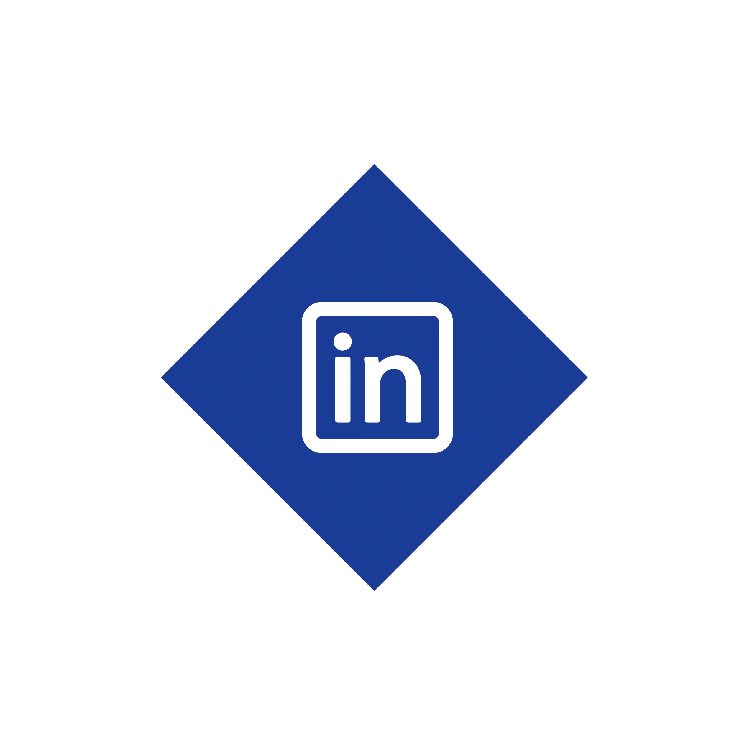 icon linkedin